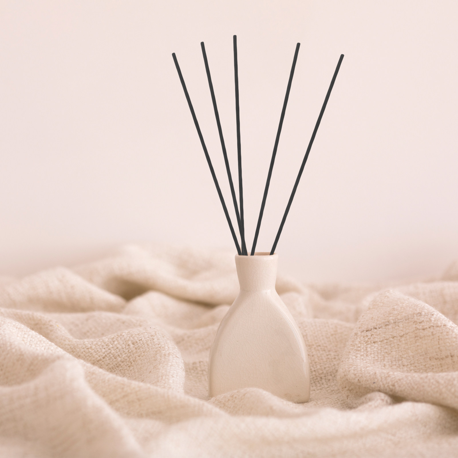 100Pcs Fibre Reed Diffuser Sti - Fragrance In Home ulasan dan harga